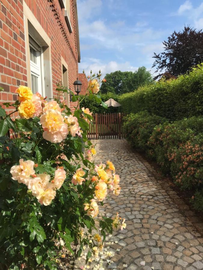 "Elter-Emskotten" Rheine Bagian luar foto